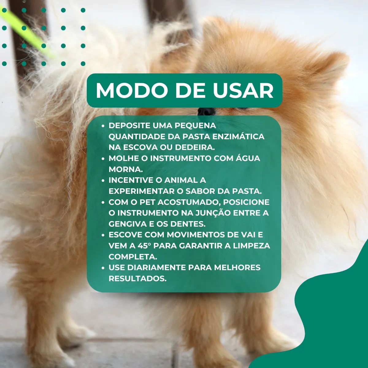 C.E.T. Saúde Oral - Imagem 6