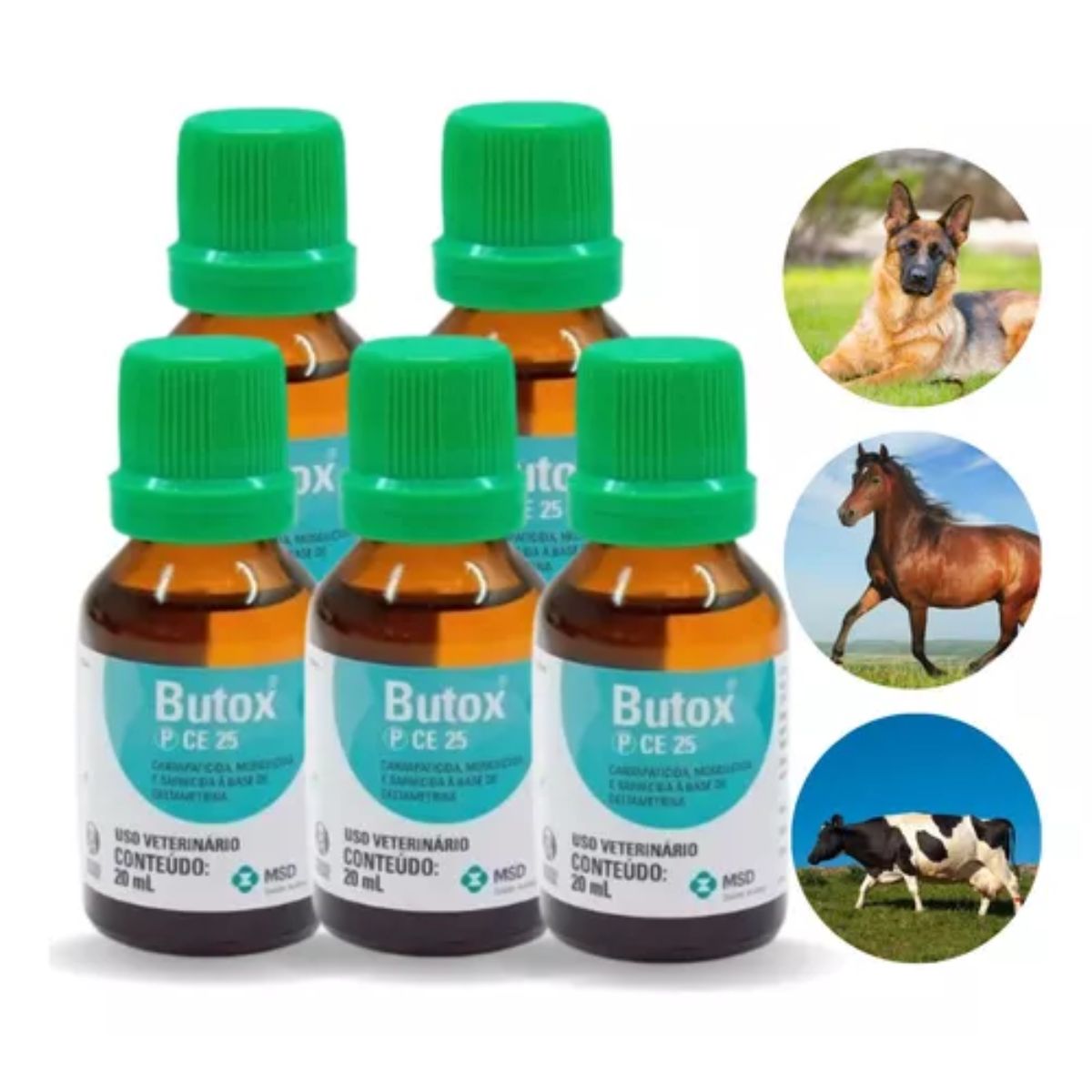 Kit 3 Butox Antipulgas Carrapaticida Sarnicida Ambiente 20ml - Imagem 4