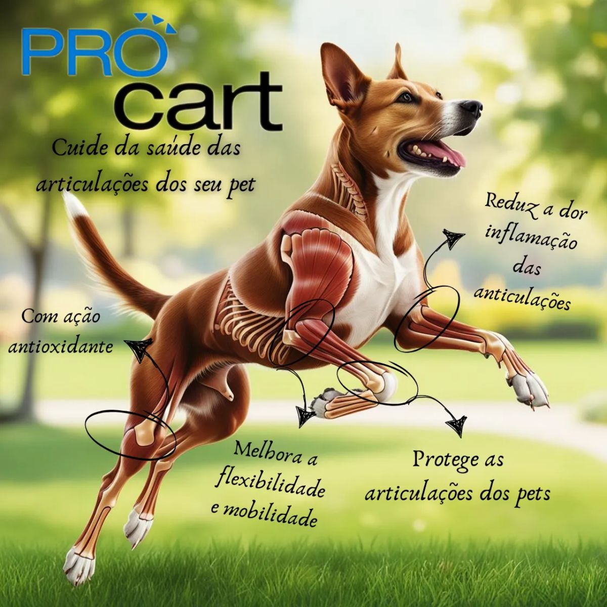 Kit 03 Pro Cart Flex - Imagem 9