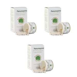 3un Pancrezyme Capsulas 280mg Suplemento P/ Cães E Gatos