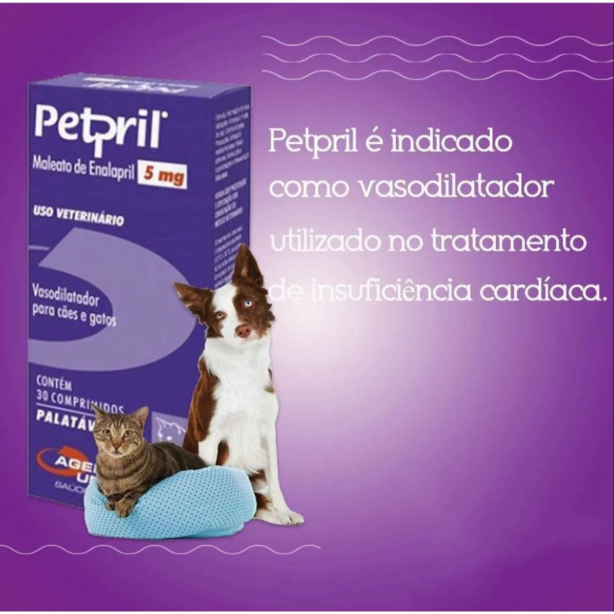 Kit 03 Petpril 5mg - Imagem 5