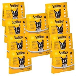 10un Scalibor Cães Pequenos e Médios 48cm