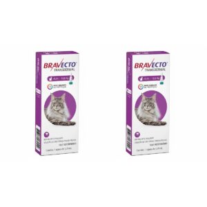 2 Bravecto Transdermal Gatos 500mg - MSD