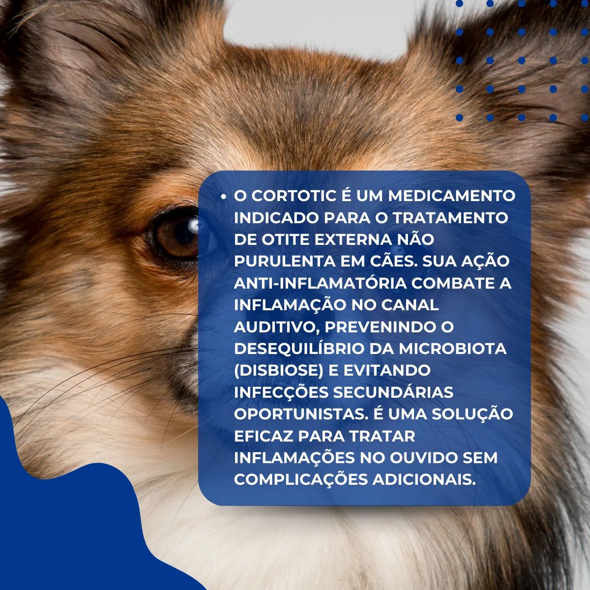 2un Cortotic 16ml - Solução Otológica Para Cães - Virbac - Imagem 9