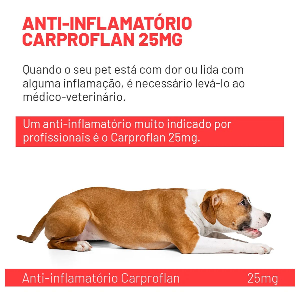 Kit 02 Carproflan 25mg - Imagem 4