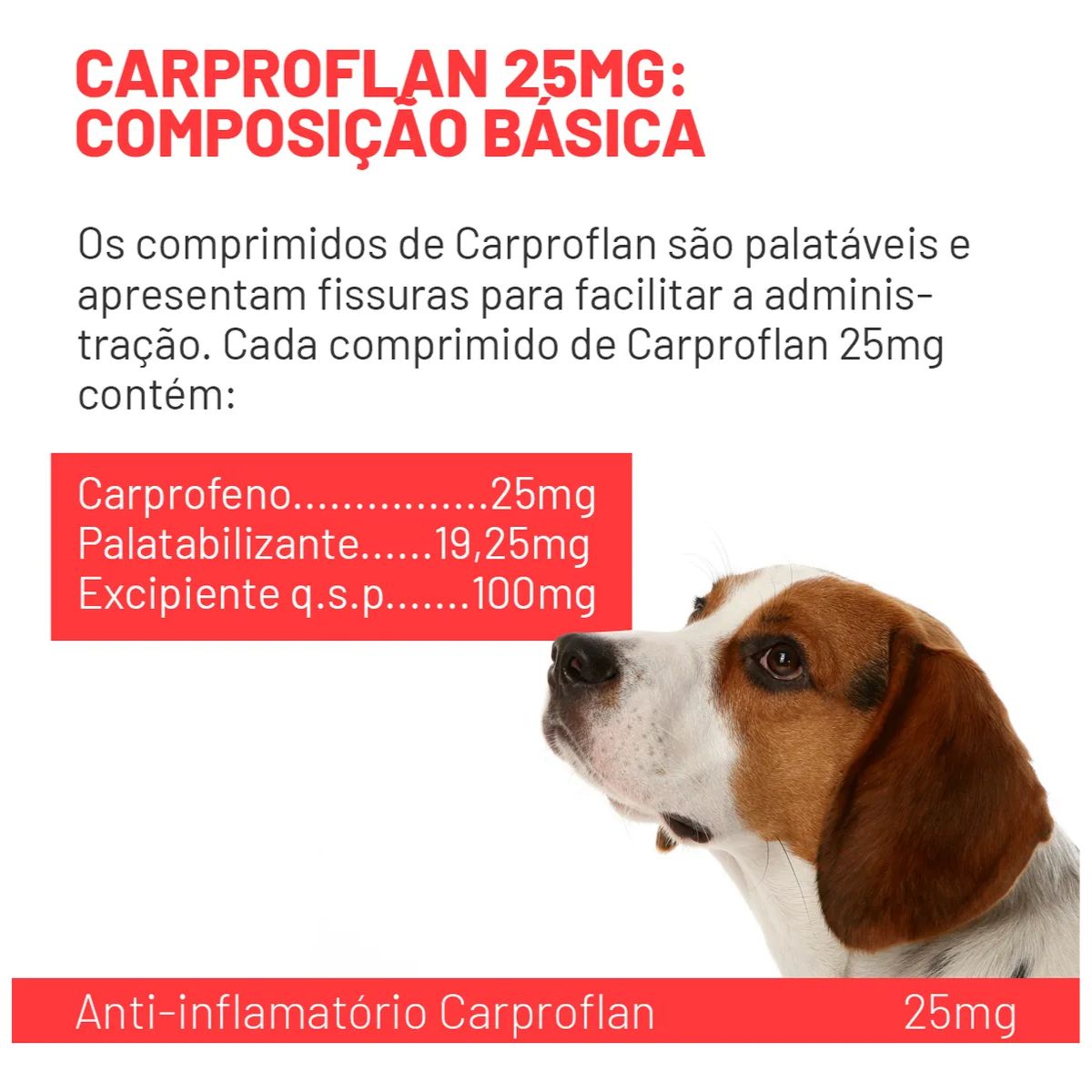 Kit 02 Carproflan 25mg - Imagem 17