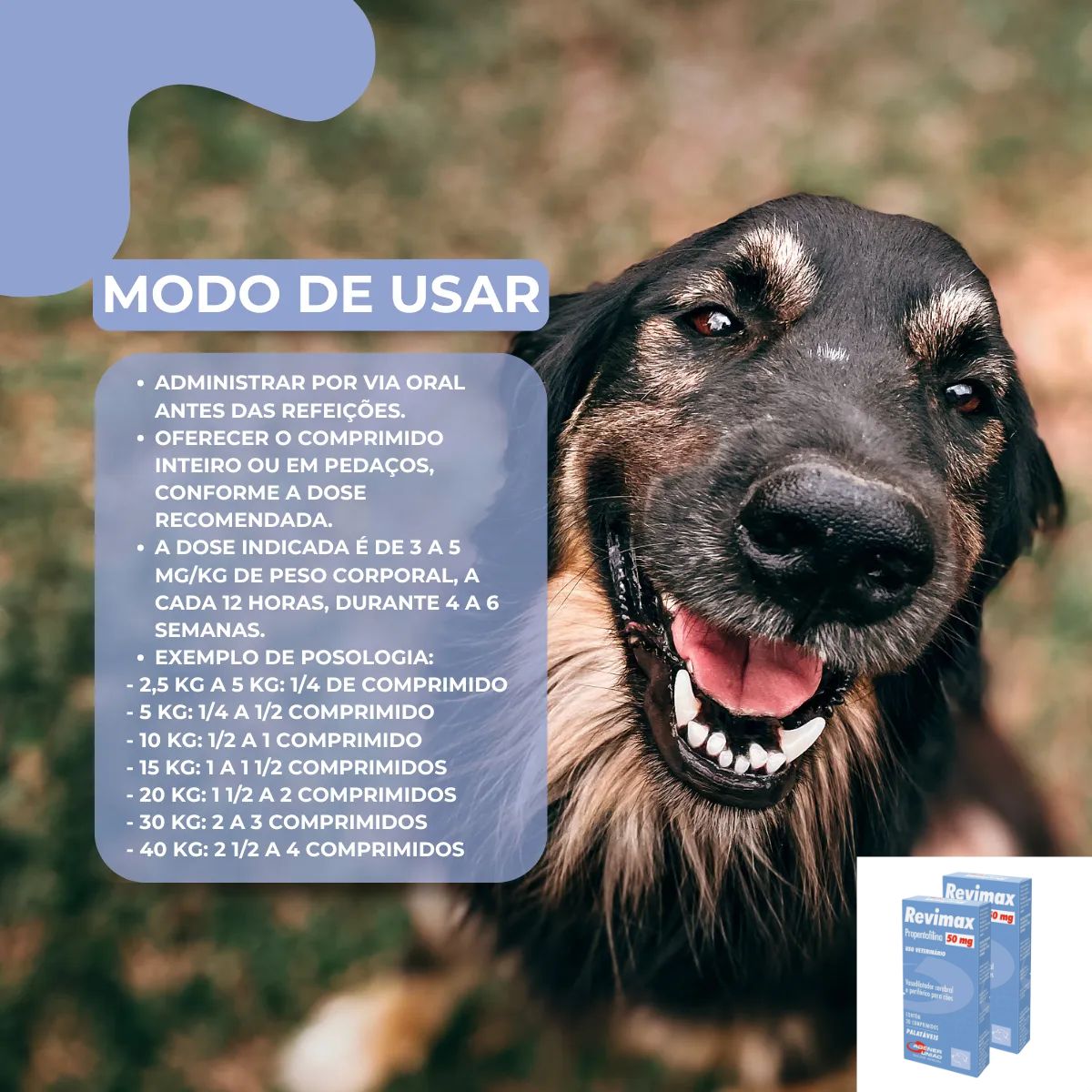 Kit 02 Revimax - Imagem 16