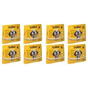 Kit 8 Scalibor Cães Grandes 65cm - MSD