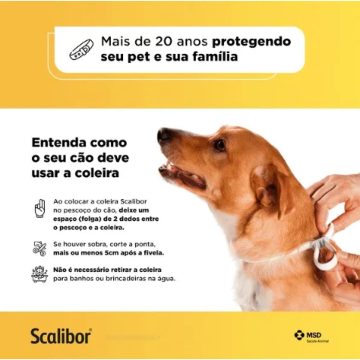 Kit 3 Scalibor Cães Grandes 65cm - MSD - Imagem 4