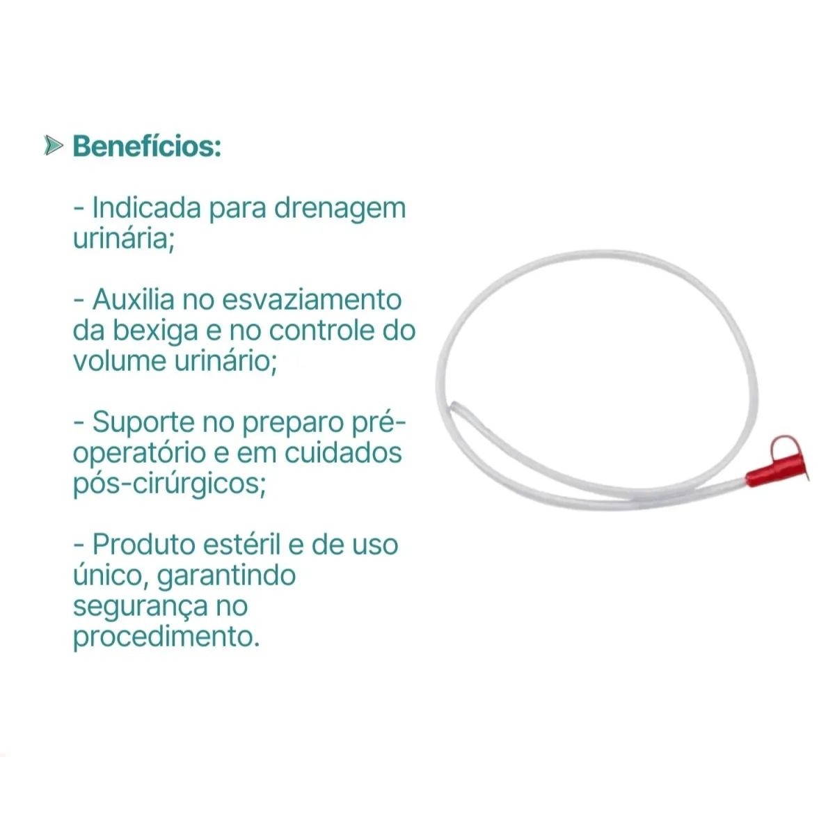 100 Sonda Uretral N°06 - Biobase - Imagem 3