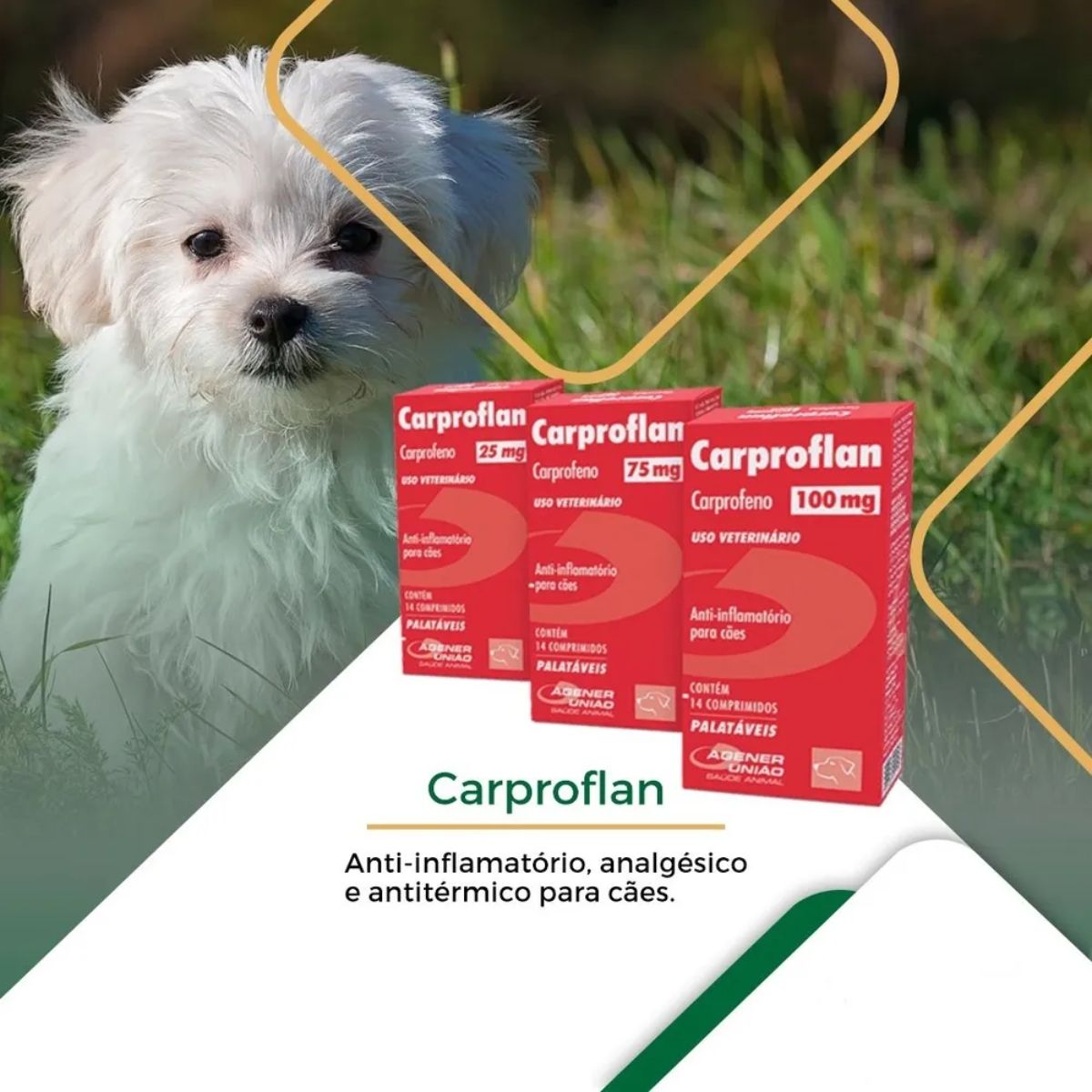 Kit 02 Carproflan 25mg - Imagem 10