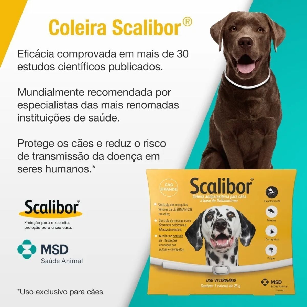 Kit 7 Scalibor Cães Grandes 65cm - MSD - Imagem 8