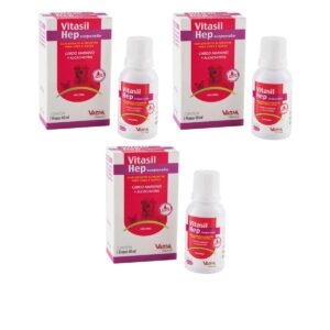 3un Vitasil Hep 60ml