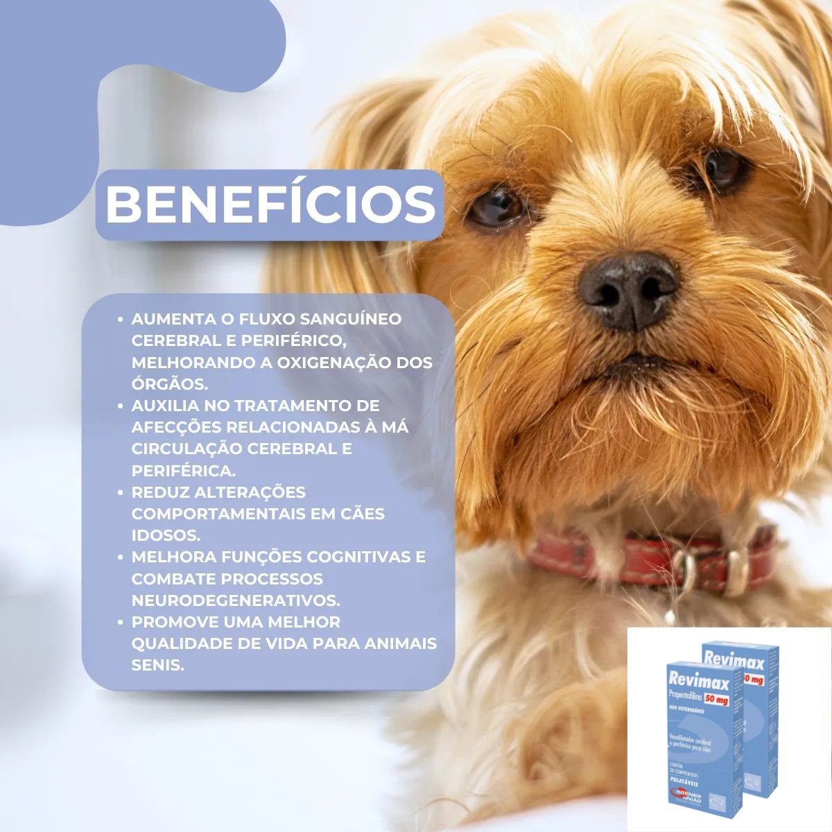 Kit 02 Revimax - Imagem 15