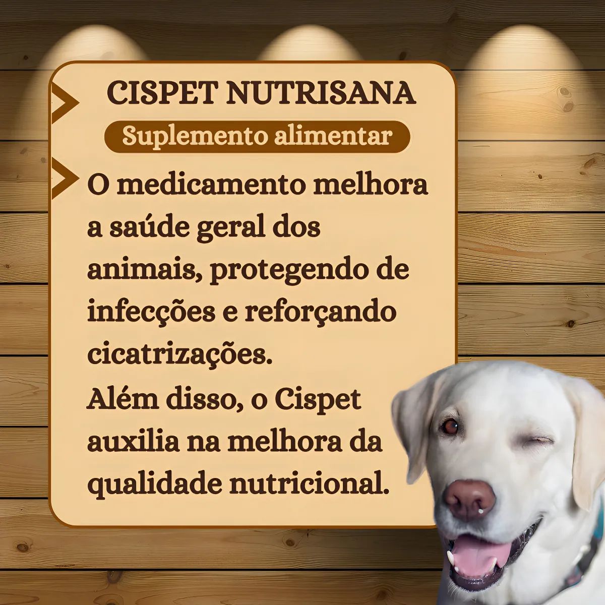 Cispet Pasta 35g - Imagem 7