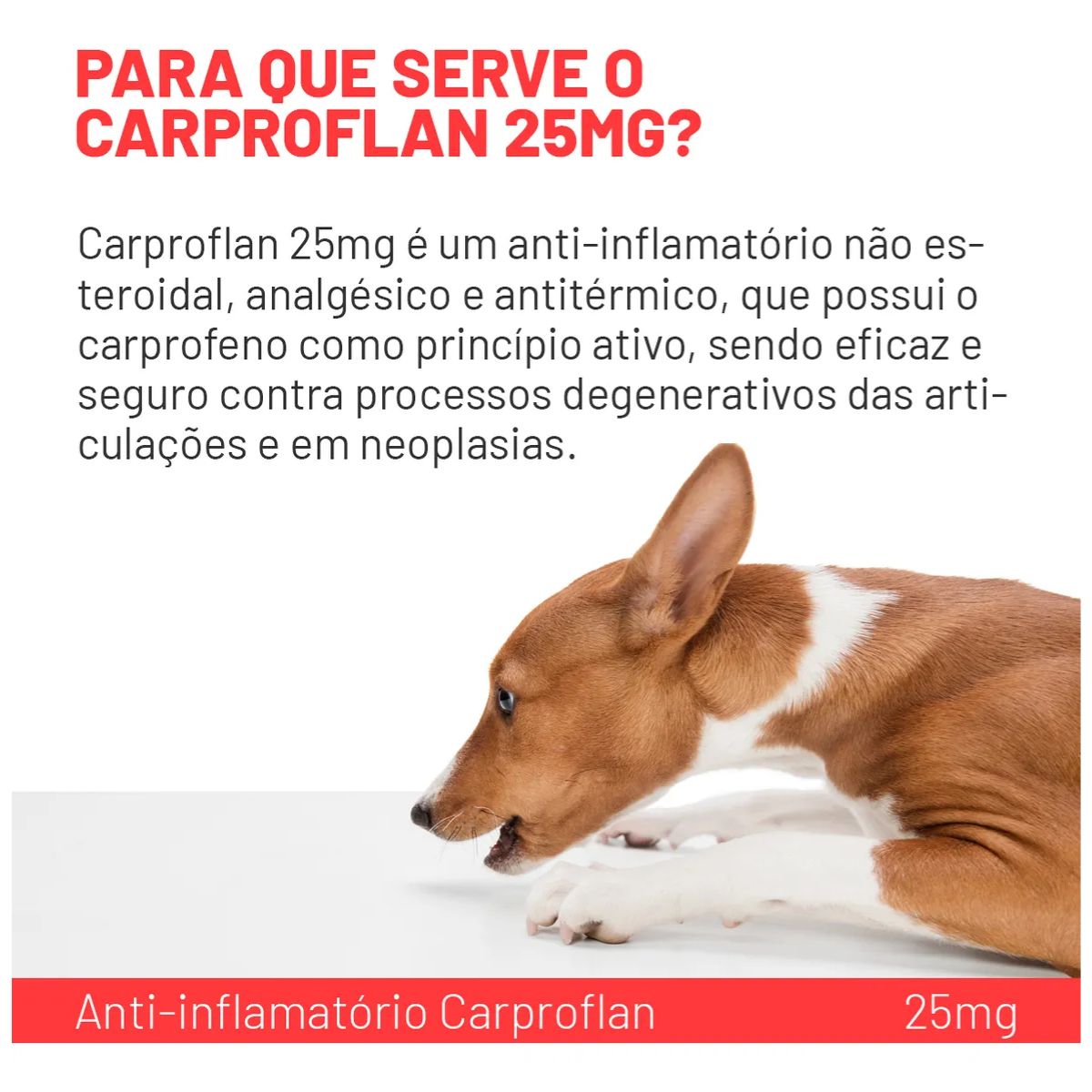 Kit 02 Carproflan 25mg - Imagem 16